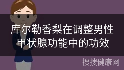 库尔勒香梨在调整男性甲状腺功能中的功效