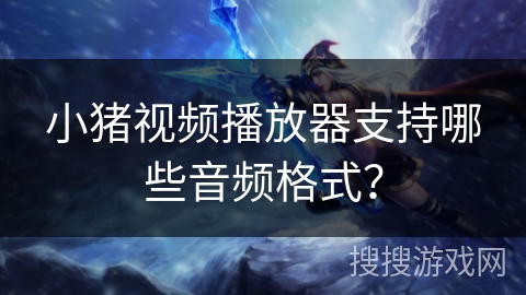 小猪视频播放器支持哪些音频格式？