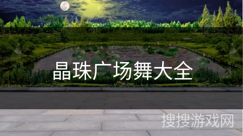 晶珠广场舞大全