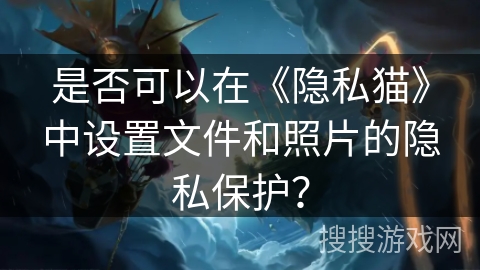 是否可以在《隐私猫》中设置文件和照片的隐私保护？