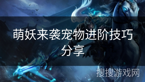 萌妖来袭宠物进阶技巧分享