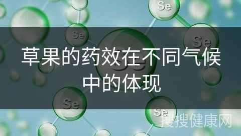 草果的药效在不同气候中的体现