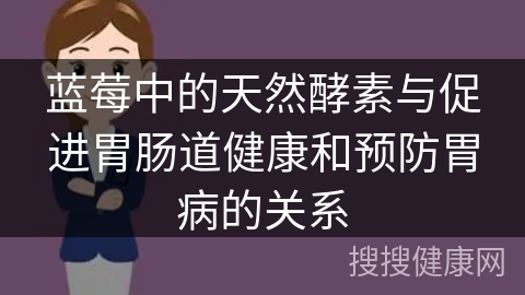 蓝莓中的天然酵素与促进胃肠道健康和预防胃病的关系