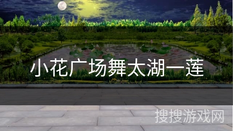 小花广场舞太湖一莲