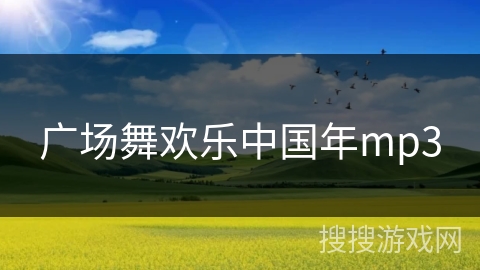 广场舞欢乐中国年mp3