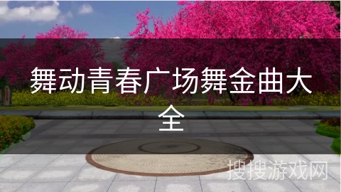 舞动青春广场舞金曲大全