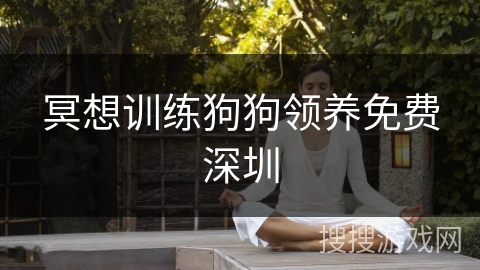 冥想训练狗狗领养免费深圳