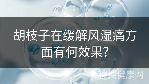 胡枝子在缓解风湿痛方面有何效果？