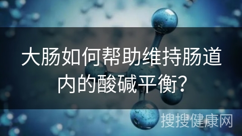 大肠如何帮助维持肠道内的酸碱平衡？