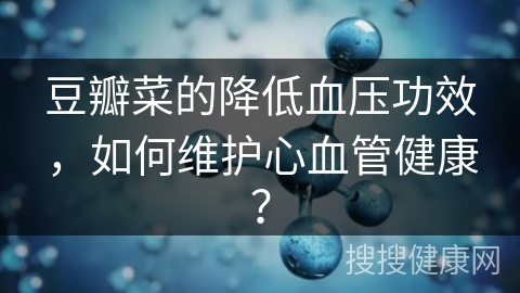 豆瓣菜的降低血压功效，如何维护心血管健康？