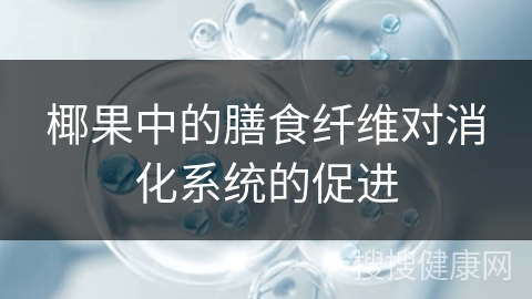 椰果中的膳食纤维对消化系统的促进