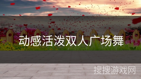 动感活泼双人广场舞