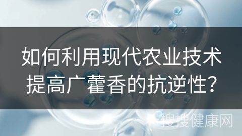 如何利用现代农业技术提高广藿香的抗逆性？