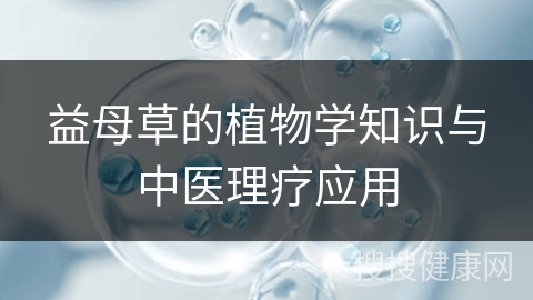 益母草的植物学知识与中医理疗应用