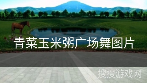 青菜玉米粥广场舞图片