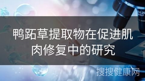 鸭跖草提取物在促进肌肉修复中的研究