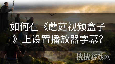 如何在《蘑菇视频盒子》上设置播放器字幕？