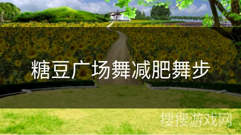 糖豆广场舞减肥舞步