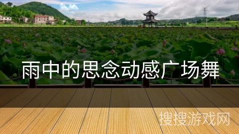 雨中的思念动感广场舞