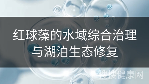 红球藻的水域综合治理与湖泊生态修复