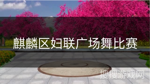 麒麟区妇联广场舞比赛 麒麟区妇联广场舞比赛
