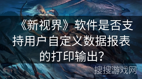 《新视界》软件是否支持用户自定义数据报表的打印输出？
