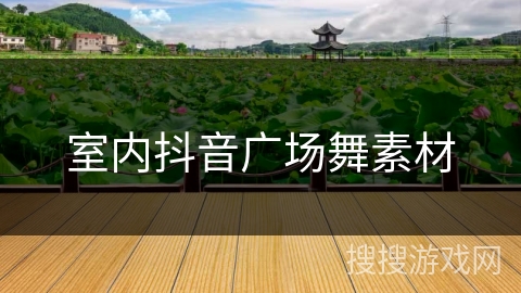 室内抖音广场舞素材 室内抖音广场舞素材