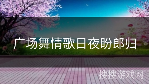 广场舞情歌日夜盼郎归 广场舞情歌日夜盼郎归