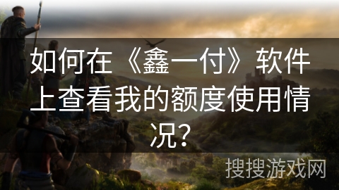如何在《鑫一付》软件上查看我的额度使用情况? 如何在《鑫一付》软件上查看我的额度使用情况?