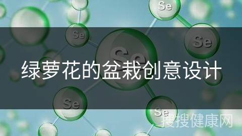 绿萝花的盆栽创意设计