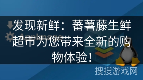 发现新鲜:蕃薯藤生鲜超市为您带来全新的购物体验! 发现新鲜:蕃薯藤生鲜超市为您带来全新的购物体验!