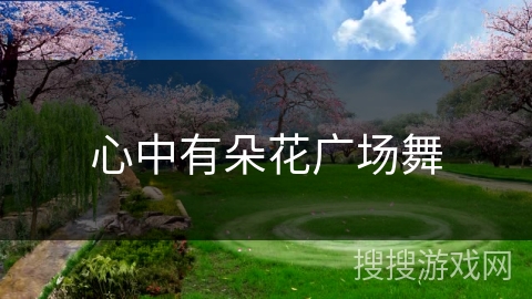心中有朵花广场舞 心中有朵花广场舞