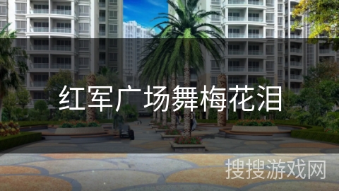 红军广场舞梅花泪 红军广场舞梅花泪