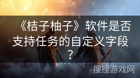 《桔子柚子》软件是否支持任务的自定义字段? 《桔子柚子》软件是否支持任务的自定义字段?
