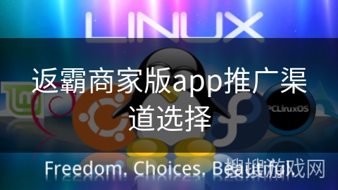 返霸商家版app推广渠道选择 返霸商家版app推广渠道选择