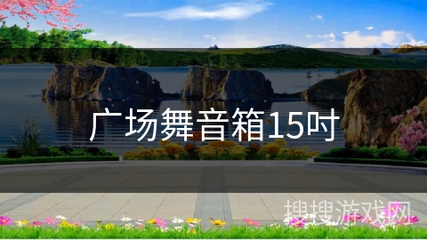 广场舞音箱15吋 广场舞音箱15吋