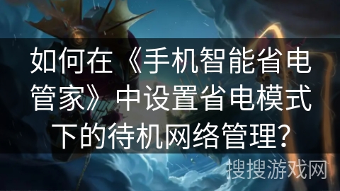 如何在《手机智能省电管家》中设置省电模式下的待机网络管理？