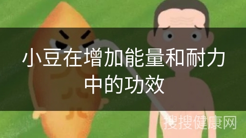 小豆在增加能量和耐力中的功效