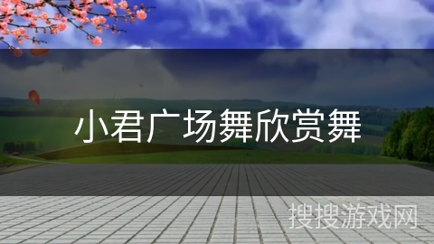 小君广场舞欣赏舞
