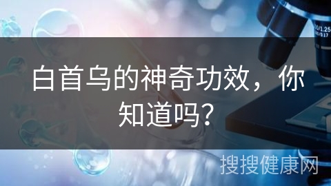 白首乌的神奇功效，你知道吗？