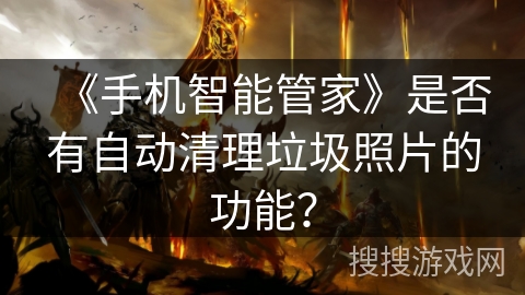 《手机智能管家》是否有自动清理垃圾照片的功能？