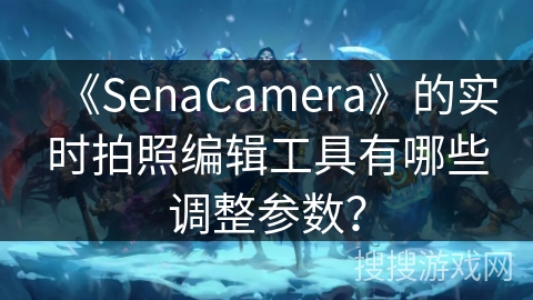 《SenaCamera》的实时拍照编辑工具有哪些调整参数？