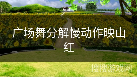 广场舞分解慢动作映山红