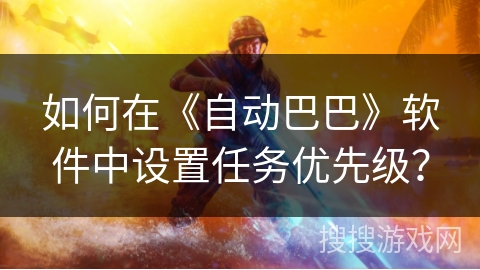 如何在《自动巴巴》软件中设置任务优先级？