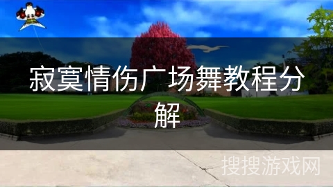 寂寞情伤广场舞教程分解