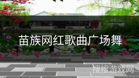 苗族网红歌曲广场舞