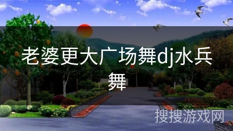 老婆更大广场舞dj水兵舞