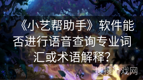 《小艺帮助手》软件能否进行语音查询专业词汇或术语解释？