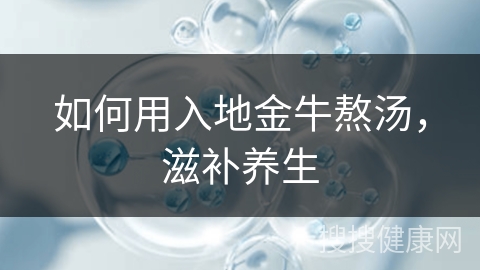 如何用入地金牛熬汤，滋补养生