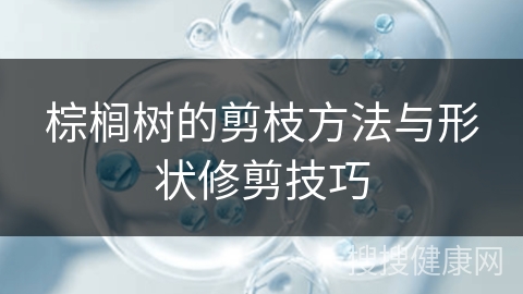 棕榈树的剪枝方法与形状修剪技巧